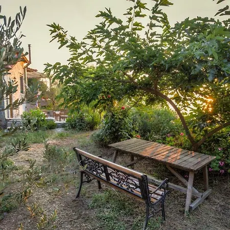 Aegean Retreat In Skopelos Island * グロッサ